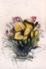 Dateiname : 3587.jpg
Dateigröße : 128KB
Abmessungen : 600x886
hinzugefügt am : 14.Mai 2008 3587.jpg