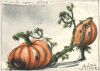Dateiname : d1036.jpg
Dateigröße : 98KB
Abmessungen : 823x590
hinzugefügt am : 11.Dezember 2018 d1036.jpg